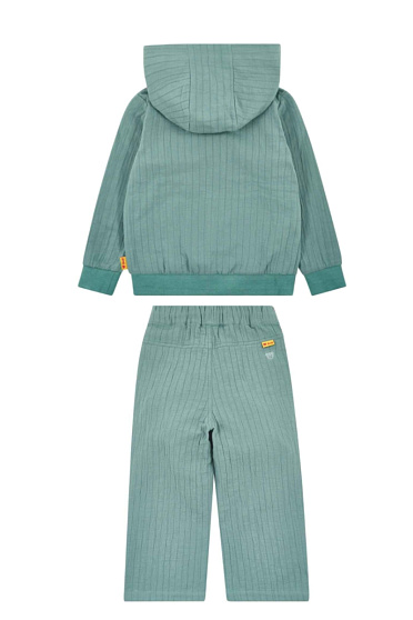 Костюм, Dinosaur